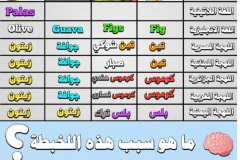 NtrO6ww4