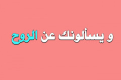 o6V0cvLa