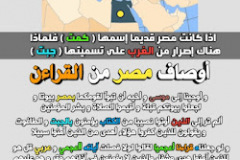 q8EK7Xy1
